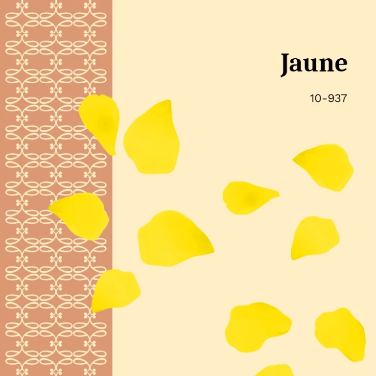 Colorant en grains <span>Jaune</span>