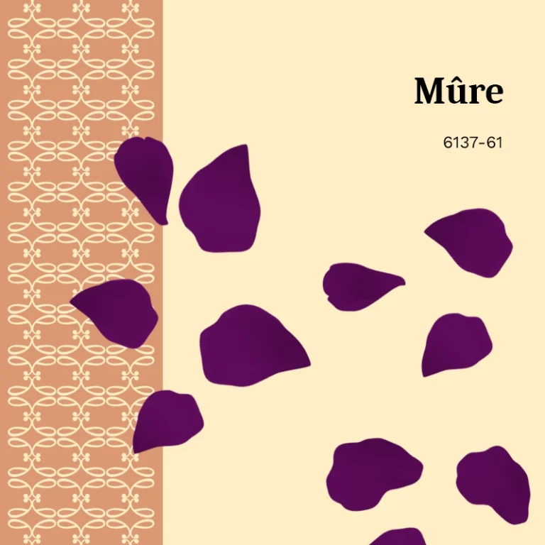 Colorant en grains <span>Mûre</span>