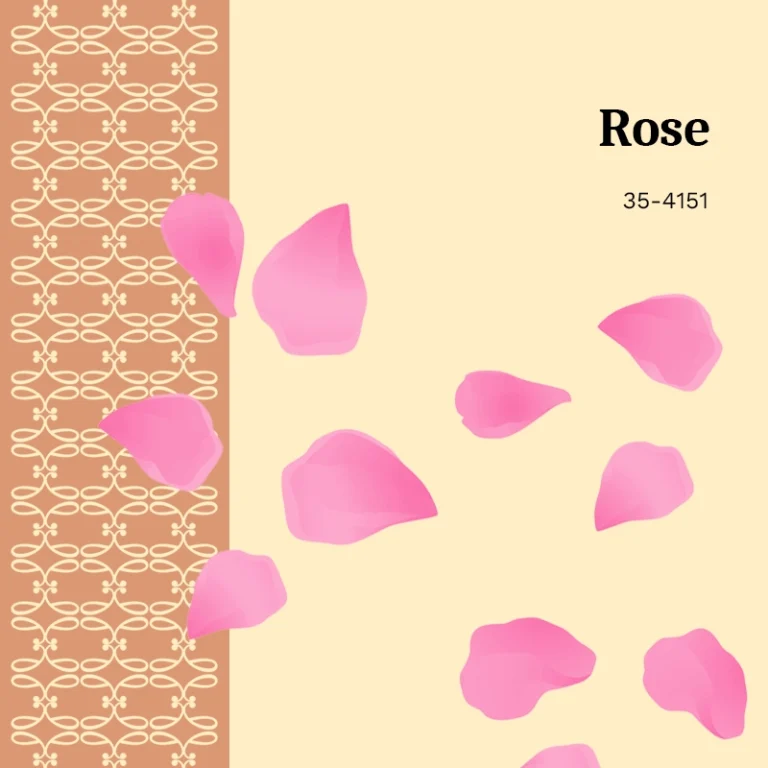 Colorant en grains <span>Rose</span>