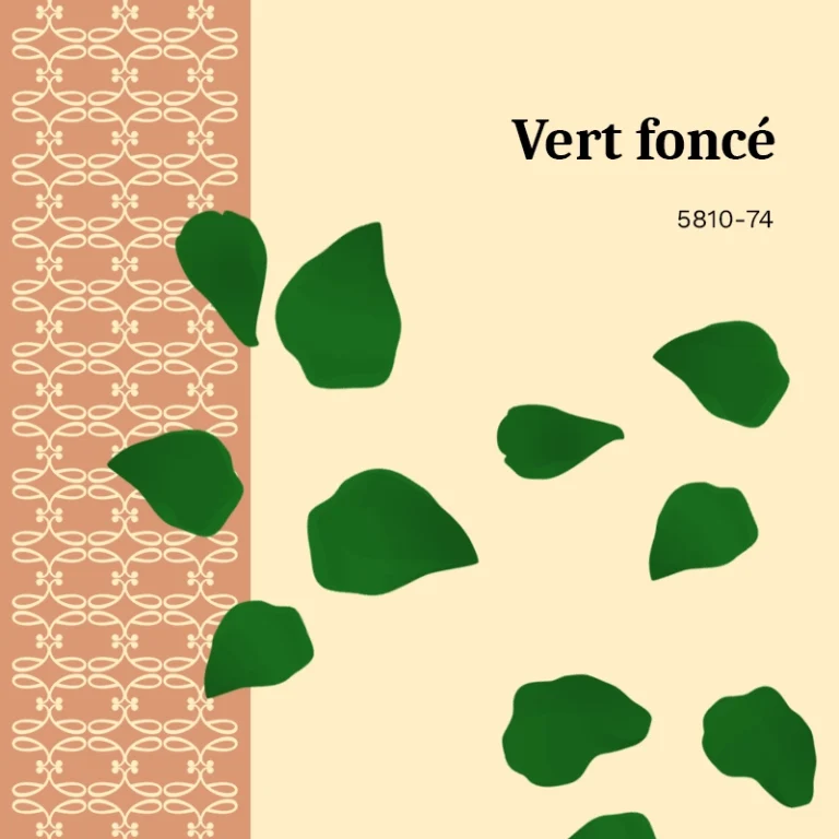 Colorant en grains <span>Vert foncé</span>