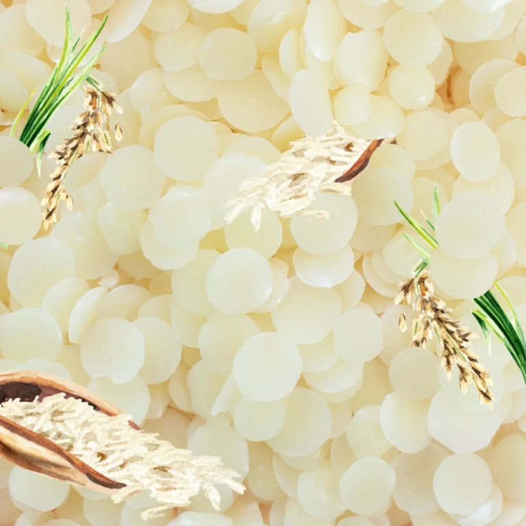 Cire pour bougies <span>Son de riz</span>