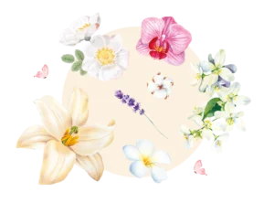 Parfums pour bougies et savons fleuris