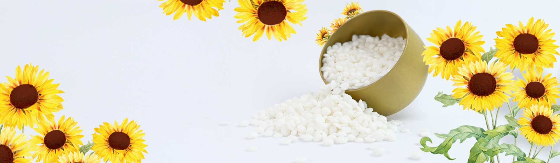 Cire pour bougies Tournesol en pastilles desktop