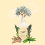 Parfum pour bougies éclaté Bois d'olivier