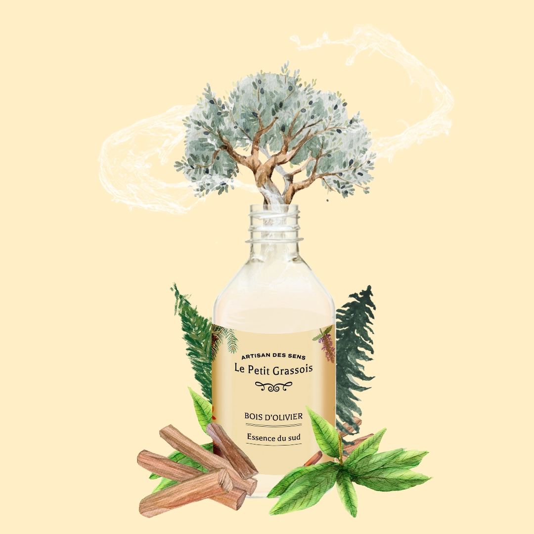 Parfum pour bougies éclaté Bois d'olivier