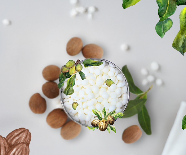 Tout savoir sur la cire de Karité
