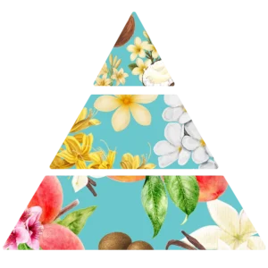 Pyramide olfactive pour savons Soleil d'azur