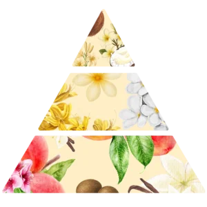 Pyramide olfactive Soleil d'Azur