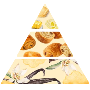 Parfums pour bougies Pain au chocolat - pyramide olfactive