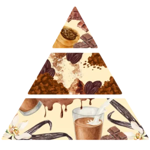 Parfum pour bougies Poudre de cacao - Pyramide olfactive