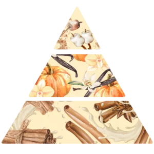 Parfum pour bougies Citrouille vanillée - pyramide olfactive