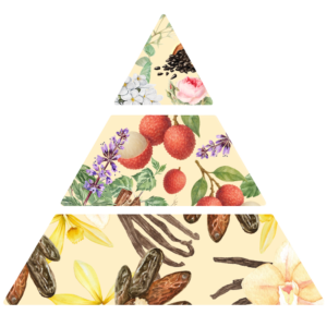 Pyramide olfactive Parfum pour bougies Litchi épicé FP