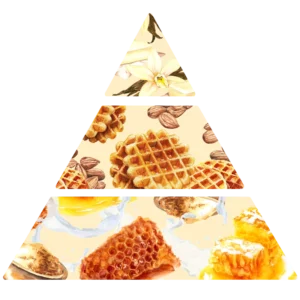 Parfum pour bougies Gaufre pyramide olfactive FP