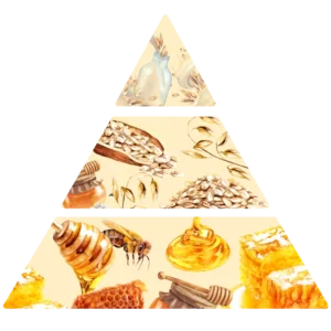 Parfum pour bougies lait d'avoine et miel pyramide olfactive FP