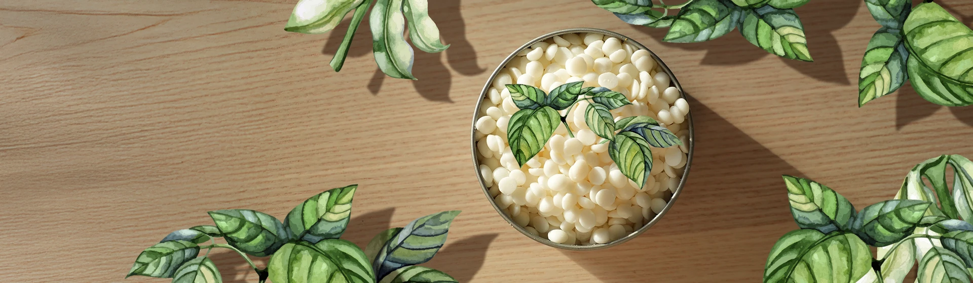 Cire végétale pour fondants Soja desktop