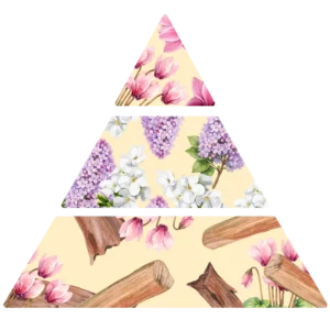 Parfum pour bougies cyclamen sauvage pyramide olfactive fp