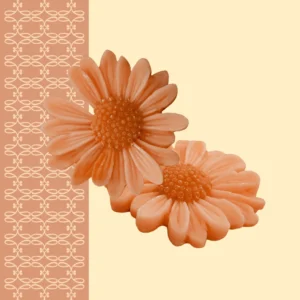 image du produit: Moule silicone <span>Marguerite</span>