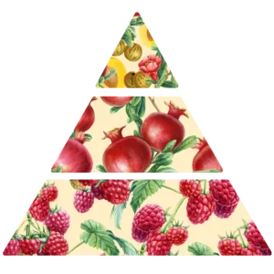 Parfum pour bougie grande pyramide olfactive FP