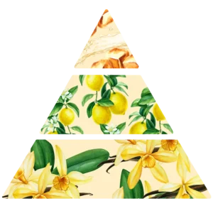 Parfum pour bougies Limoncello pyramide olfactive fp