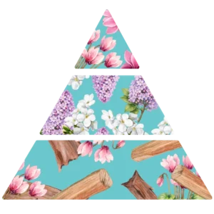 Parfum pour savons Cyclamen sauvage pyramide olfactive