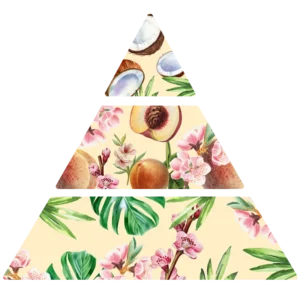 Parfum pour bougies peche de vigne pyramide olfactive fp