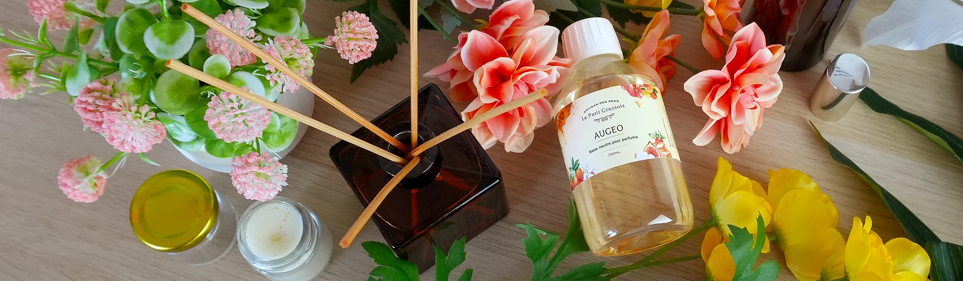 Bannière Augéo desktop