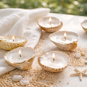 Bougies coulées coquillages