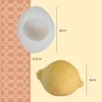 moule silicone Citron FP
