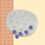 moule silicone myrtilles FP