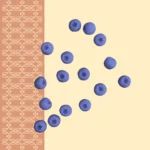 moule silicone myrtilles FP