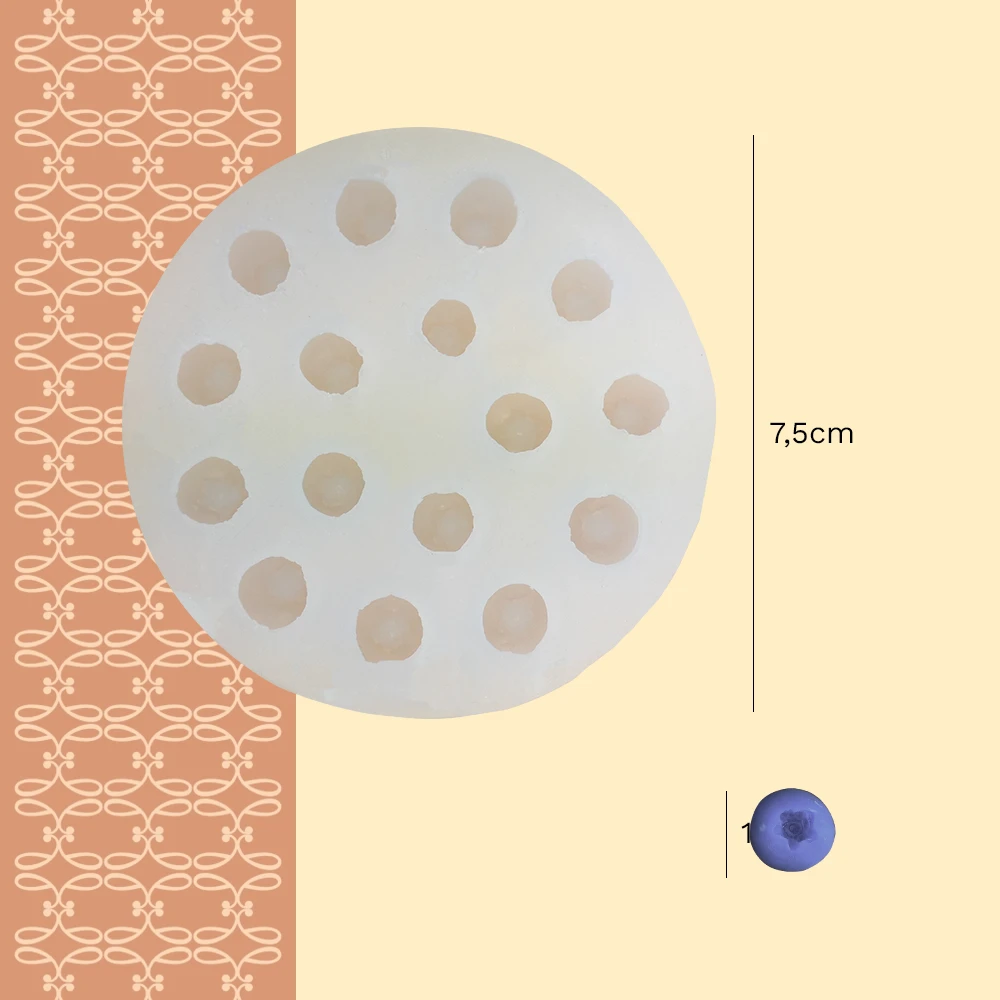 moule silicone myrtilles FP