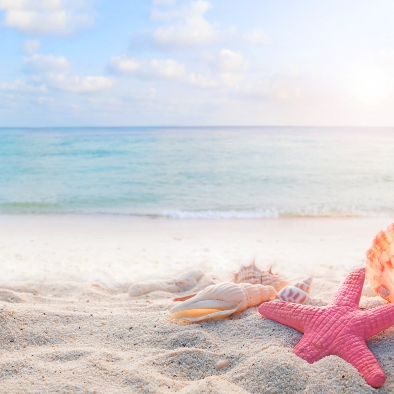 3 idées de créations parfumées pour l'été blog