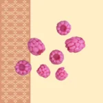 moule silicone framboises FP