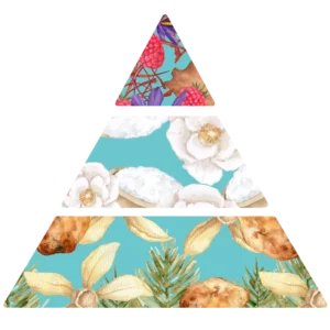Parfum pour savons Ambre & Safran - pyramide olfactive
