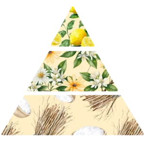 Parfum pour bougies Néroli & Vétiver pyramide FP