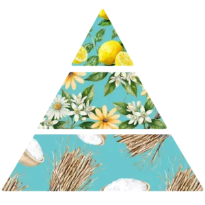 Parfum pour savons Néroli & Vétiver pyramide FP