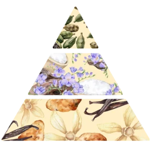 Parfum pour bougies Violette & Cardamome - pyramide olfactive