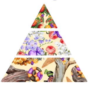 Parfum pour bougies Bonbon démoniaque pyramide olfactive FP