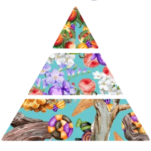 Parfum pour savons Bonbon démoniaque pyramide olfactive FP