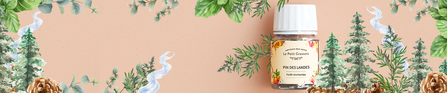 Image de fond du produit: Parfum à l'honneur pour bougies : <br> Pin des Landes