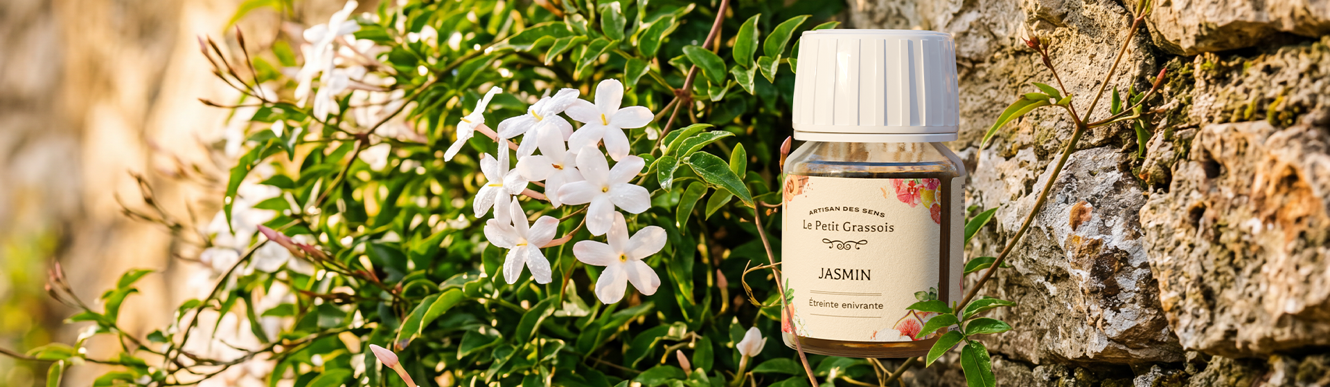 Image de fond du produit: Jasmin : Parfum pour bougies