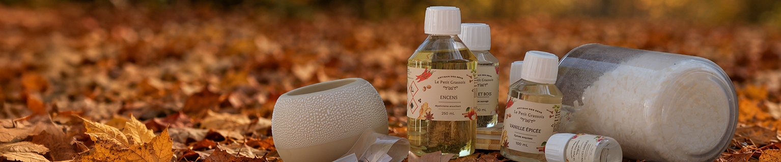 Image de fond du produit: Nos coups de cœur <br>Automne !