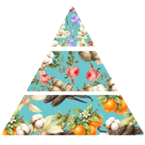 Parfum pour savons Lait de coton pyramide olfactive FP
