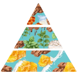 Parfum pour savons Menthe & chocolat pyramide olfactive FP