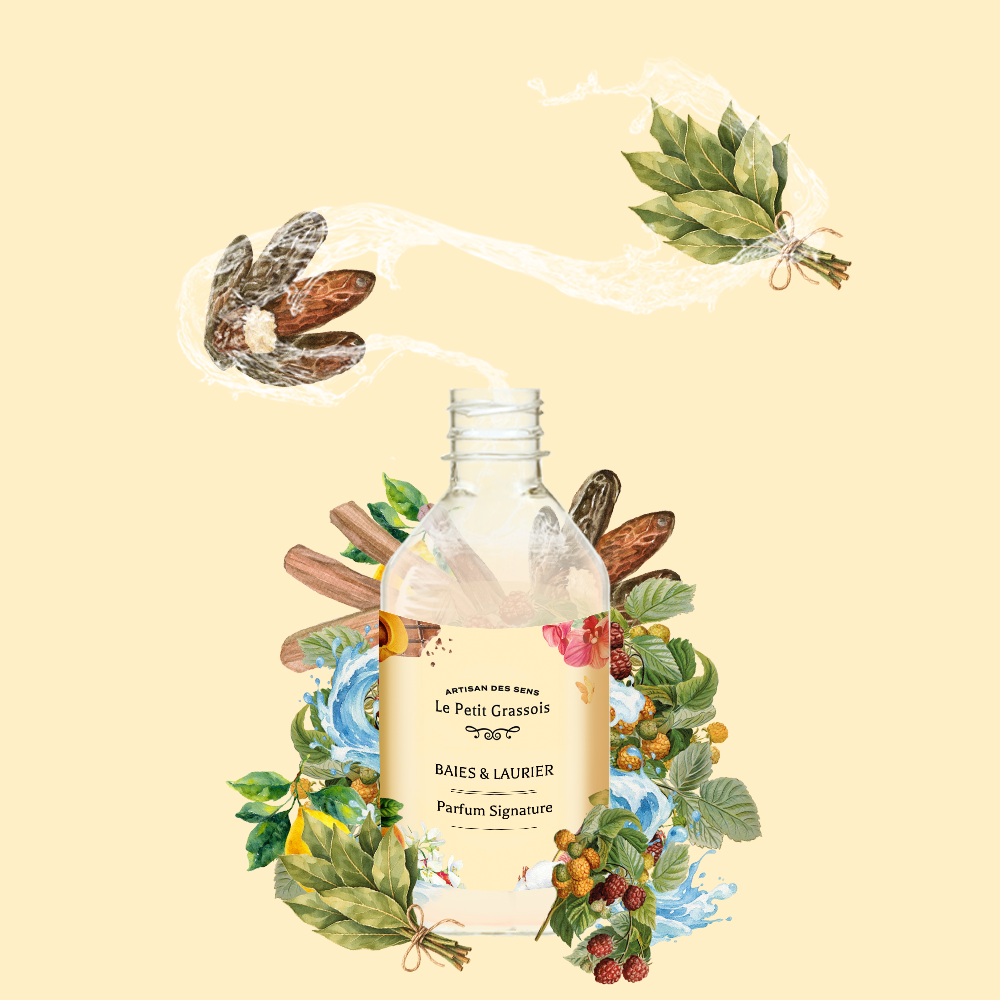 Parfum pour bougies <span>Baies & Laurier</span>
