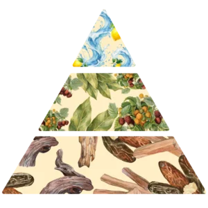 Parfum pour bougies Baies & Laurier pyramide olfactive FP