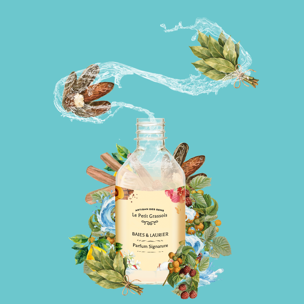 Parfum pour savons <span>Baies & Laurier</span>
