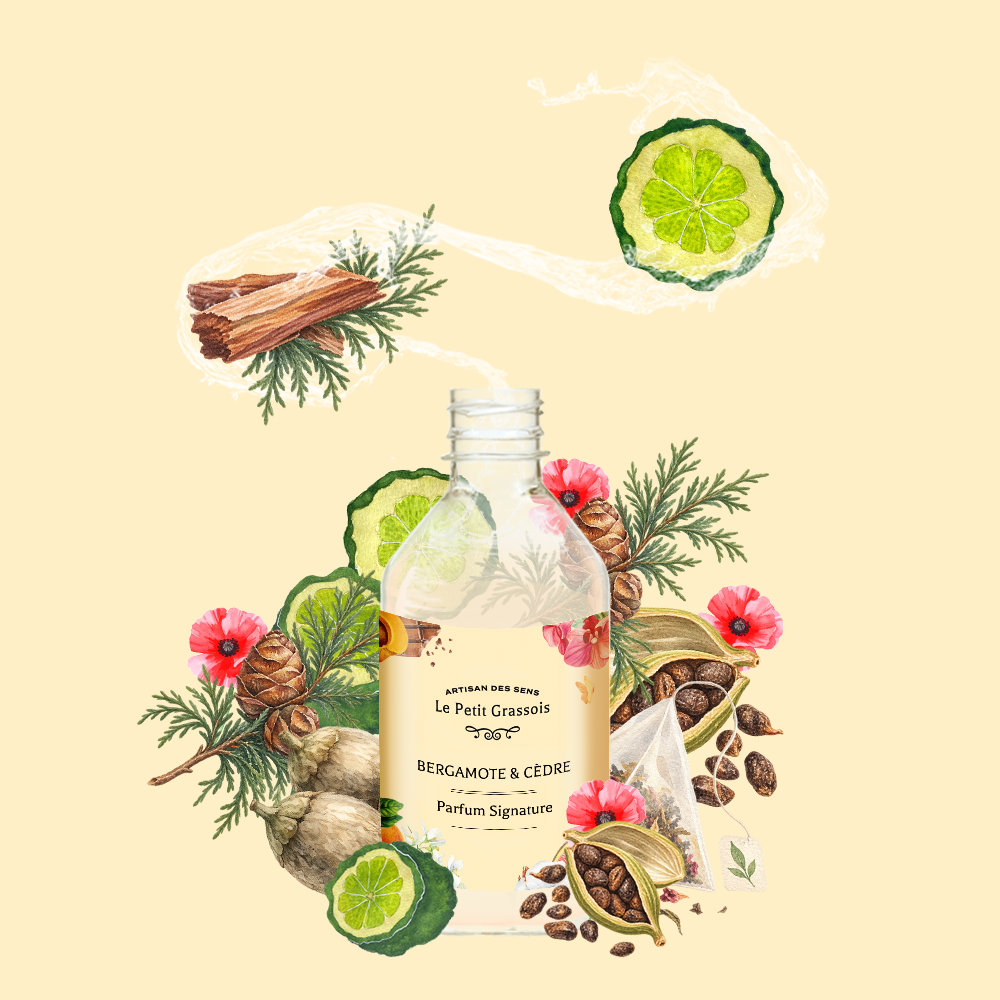 Parfum pour bougies <span>Bergamote & Cèdre</span>