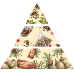 Parfum pour bougies Bergamote & Cèdre pyramide olfactive FP