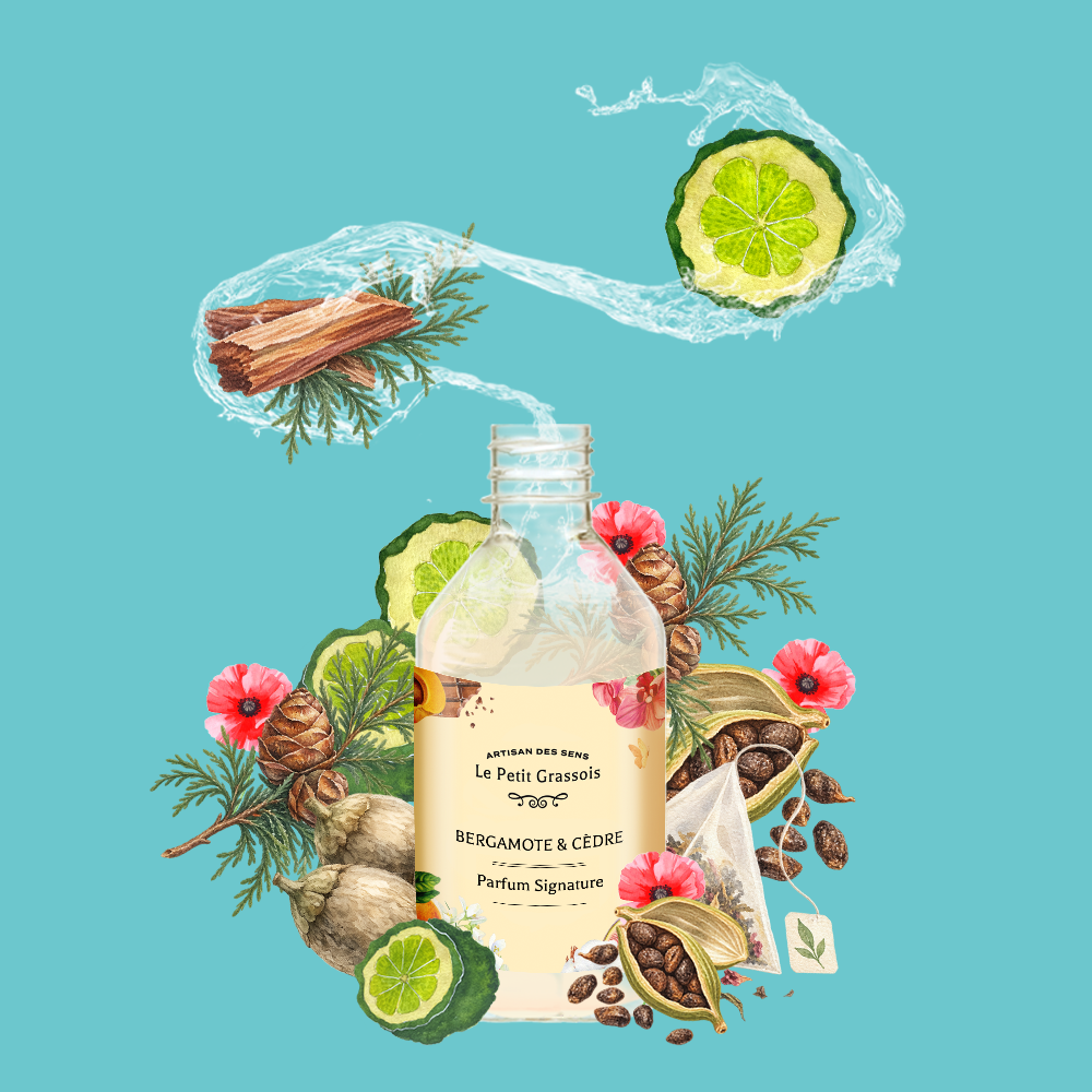 Parfum pour savons <span>Bergamote & Cèdre</span>